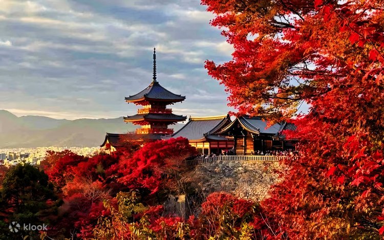 Tour Nara & Kobe 1 Ngày