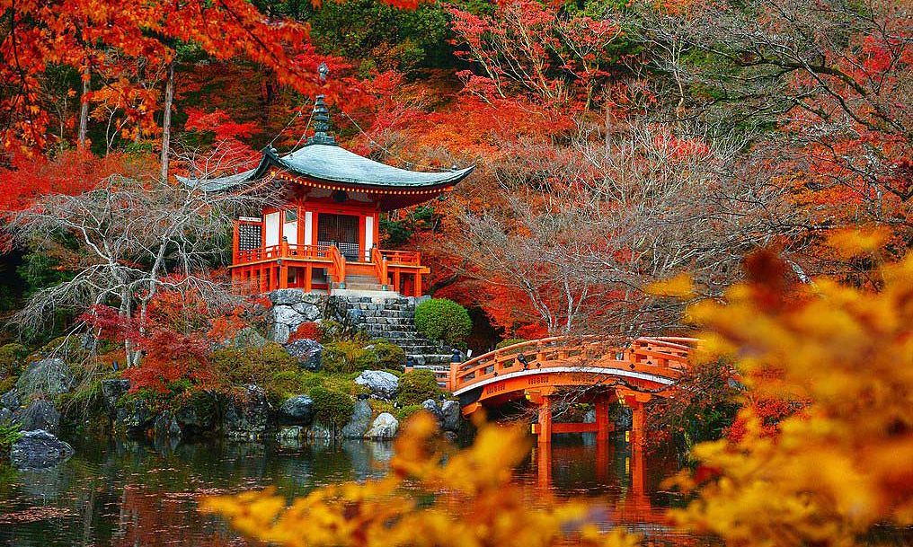 Tour Lá Đỏ Mùa Thu Kyoto 4 Ngày